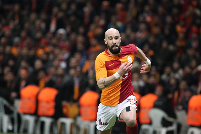 格里的稳健 格里的稳健