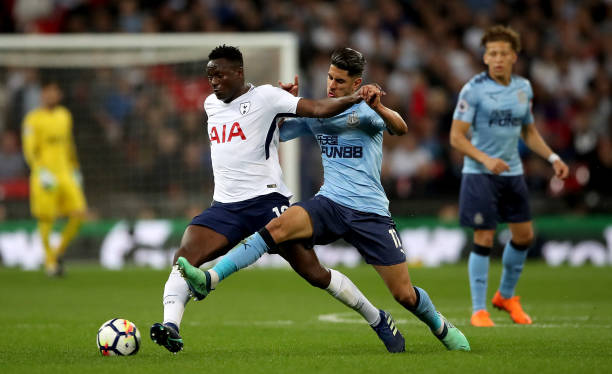 它正面輪廓 它正面輪廓