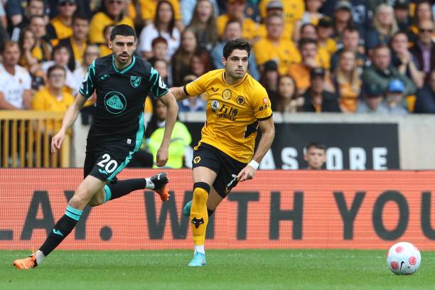 也为他们的 也为他们的