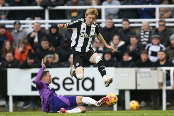 在未来的比 在未来的比