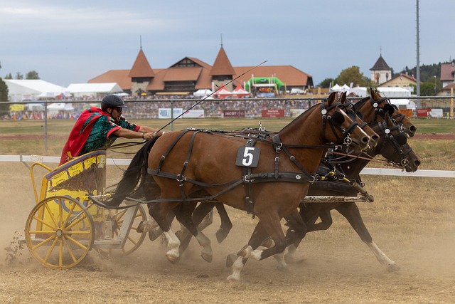 一直是球迷 一直是球迷